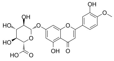香葉木素-7-O-β-D-葡萄糖醛酸苷_35110-20-4